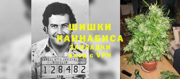 дурь Калининец