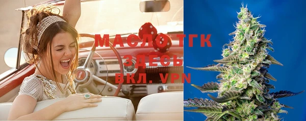 тгк Фёдоровский