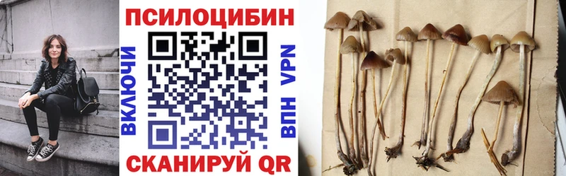 Галлюциногенные грибы Cubensis  Купить где  Навашино 